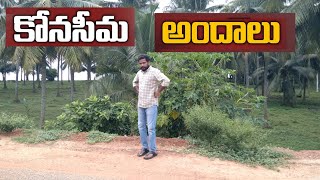 || కోనసీమ అందాలు...|| రావులపాలెం నుండి జొన్నాడ మీదుగా యానాం ప్రయాణం ||