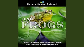 Just Frogs: 2 Hours of Sounds from the Natural World Frog Chorus for Sleep \u0026 Relaxation