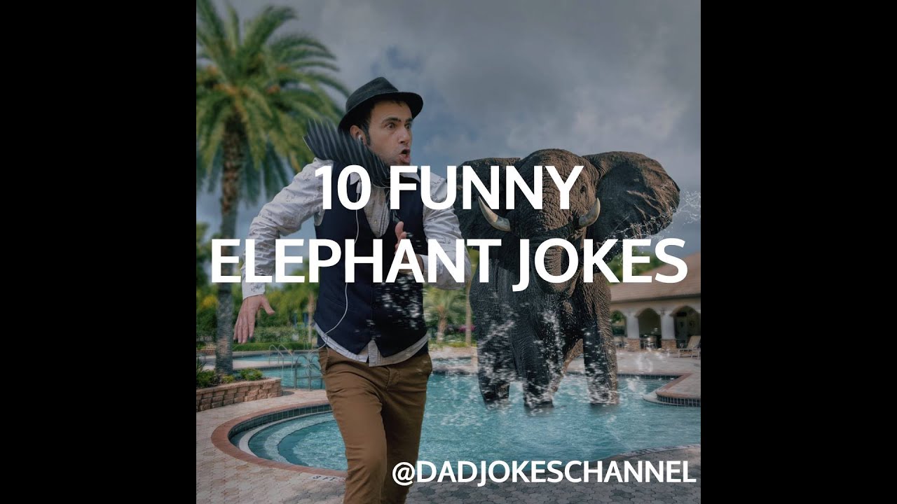 10 Funny Elephant Jokes Youtube