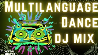 NonStop Multilanguage DJ Dance ReMix | South x Hindi x Eng mix | Mangalore Udupi djs | party 2024