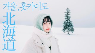 韓国女子の真冬の北海道観光☃️札幌、美瑛、函館のエモすぎるスナップ写真撮影とコナンの聖地巡礼まで