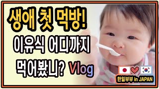 한일부부 아기 국제커플 베이비 🇰🇷🇯🇵 인생 첫 먹방 ! 이유식 먹어봤어요! 日韓夫婦 初めての離乳食 일본 육아일기 생후 6개월 브이로그 아빠와딸 한일아기