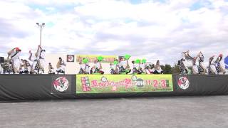 常陸国大子連さん　草加ふささら祭り　踊るん♪よさこい2014