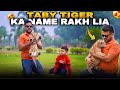 Golden Taby Tiger ka Name Rakh Lia 😍 | sb Log Comments Me Bataye Name kesa Laga? Nouman Hassan