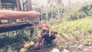 BUKO kayo jan #bukid #coconut