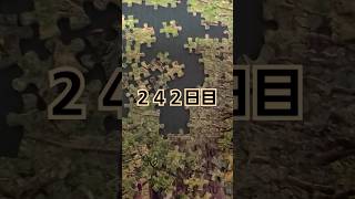 【１日1ピース】ジグゾーパズルいい加減完成させようぜ企画242日目【完成まであと半年？】