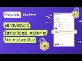 Time Logs Locking | Birdview tutorial