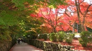 京都･宇治 紅葉 興聖寺 Uji City in the foliage season(2010-11)