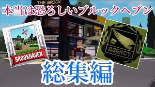 ブルックヘブンに隠された謎に迫る。今までの検証をまとめた永久保存版❗️【ロブロックス】Roblox - Brookhaven RP