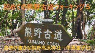 初夏の風薫る熊野古道ウォーキング\u0026ヒーリング⑤ 。初夏の風と自然の声を楽しみながら熊野古道中辺路の高原霧の里→牛馬童子口。まるで実際に熊野古道を歩いているかのようなバーチャルウォーキングPart5。