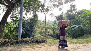 My First Vlog in Bangladesh | From Brahmanbaria to Dhaka | End  of Touring Bangladesh