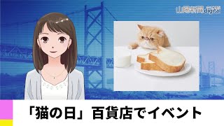 【２月１８日】「猫の日」百貨店でイベント　ＡＩアナＮＥＷＳ