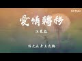 汪晨蕊—愛情轉移【動態歌詞版lyric】 高音質