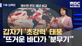 [기후 임팩트] 급강화 태풍·허리케인 충격 \