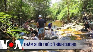 Thăm Suối Trúc ở Bình Dương | VOA Tiếng Việt