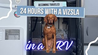 What It’s Actually Like Living in an Rv With a Dog | Spend the Day With Willa