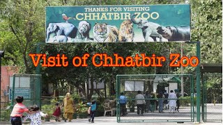 Chhatbir Zoo Chandigarh || Visit of Chhatbir Zoo 2022 || #zoo #chhatbirzoo