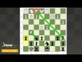 sweet chess game shahade dominates