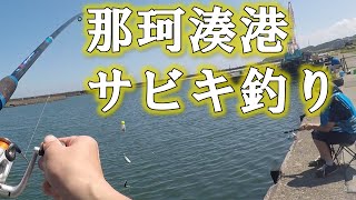 那珂湊港でサビキ釣り