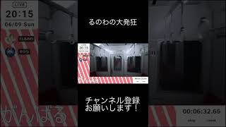 『閲覧注意・音量注意』　るのわの大発狂