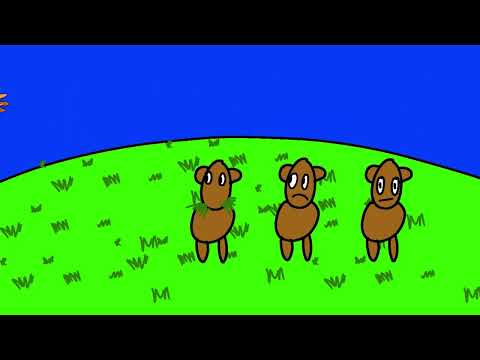 Why is the interior plains important?