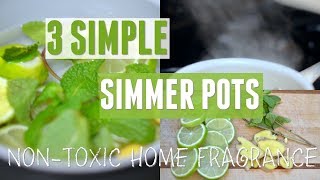 3 Simple Simmer Pot Recipes To Make Your Home Smell Amazing, Naturally!