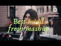 💖💖best mind fresh mashup(slowed & reverb) song best song in love with lyrics remix💓@TOTAL_SONG423