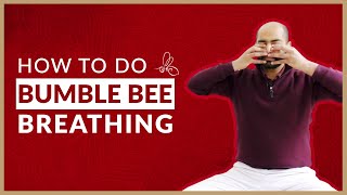 Bhramari Pranayama: Beginner’s Guide to Bumblebee Breathing | Arhanta Yoga