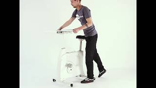 Flexispot - ALL-IN-ONE Desk Bike | Worktrainer