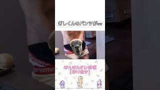 【ばんばんざい】ぎしくんのパンツ、、w【切り取り】