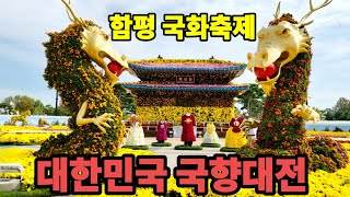 대한민국 최고 #함평국화축제 | 안가면 후회 가을에 꼭 가야하는 곳 | 오색찬란한 국화향기에 취해 보세요 | Full of chrysanthemum scent.