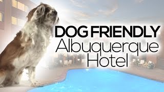 Dog Friendly Albuquerque Hotel