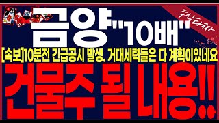 [금양주가전망] \