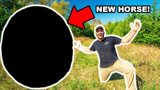 I Bought a HORSE for My BACKYARD FARM!!! (Can I Ride It?)
