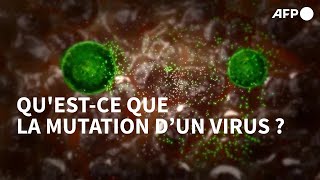Qu'est-ce que la mutation d’un virus ? | AFP