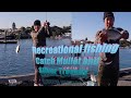 Fishing  Catch Salmon Trout, Mullet and Silver Trevally/ Recreational fishing