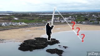 What fish won the match at Treaddur bay , uk sea fishing