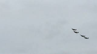 Flypast by 4 Supermarine Spitfires Goodwood Revival 2015. Loud Merlins!