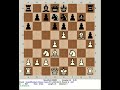 Stockfish 230409 vs Amoeba 3.4 | GrandWonders Chess R1, 230412 Philippines