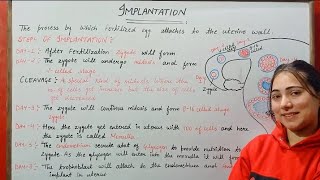 IMPLANTATION HUMAN REPRODUCTION CLASS 12