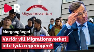 Morgongänget: Varför vill Migrationsverket inte lyda regeringen?