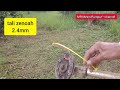 Test 2T Murah-Mahal/Piring tali baru dan 4 jenis tali potong rumput!@Mesin rumput Europa Hilt PART 3