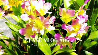 2022士林官邸秋季蘭花暨盆花展 EP06｜orchid exhibition｜plant｜植物 ｜蘭花