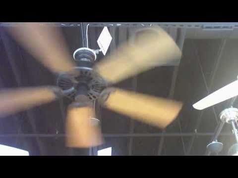 Singapore Ceiling Fan Wmv Ceiling Fans Store Las Vegas