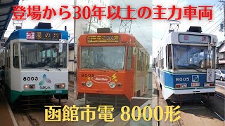 函館市電8000形電車を撮影してきた