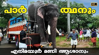 പാർത്ഥസാരഥിയും എരുമയൂർ സിങ്കം മണിയേട്ടനും I Parthasarathy Erimayur Mani #trending #elephant #aana