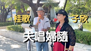 夫唱婦隨 原唱 李明洋 蔡秋鳳｜何子欣 演唱｜台中公園 街頭藝人