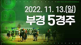 (부산)’22.11.13.5R 3두 초접전, 다시 나온 영천솔레미오와 극적 추입 폭풍언덕, 역습당한 워리어클래스!