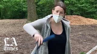 Amy Cooper apologizes after Central Park confrontation