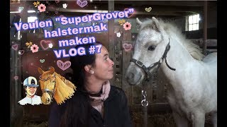 🦄 PAARDENVLOG #7 | Hoe maak je een veulen halstermak? | Daniëlla van der Werf